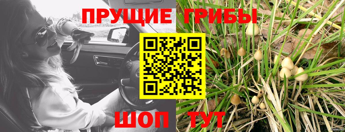 Галлюциногенные грибы Psilocybine cubensis  Галлюциногенные грибы MAGIC MUSHROOMS  Вход с VPN  Калуга 