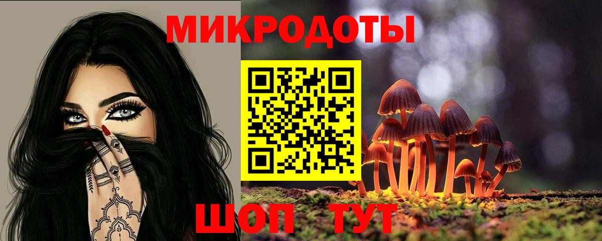 Псилоцибиновые грибы прущие грибы Калуга